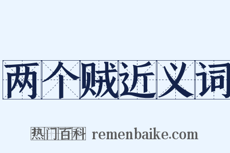 两个贼近义词是什么意思的图片
